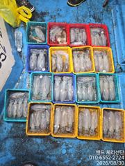 (통영팁런) 일, 월 자리 여유. 선비는 10만원입니다.