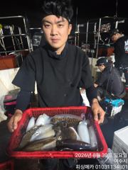 [여수,광양] 29일 금오열도 무늬오징어 조황입니다