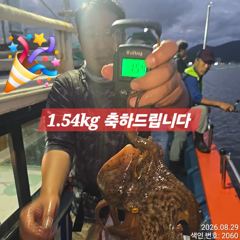 29일 조항.100수 이상올라와 잡고온 야간~돌문어 오늘도 마리수 잡으러 출조 갑니다@ 오늘~몇 자리 예약가능