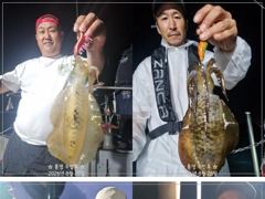 무늬 핫조황~ 일욜 17시 출조확정~ 사진