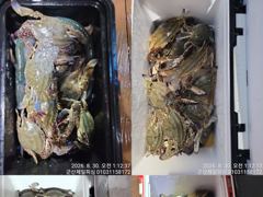 ⭐군산제일피싱호 꽃게쿨러굿조황⭐ 사진