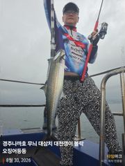 일요일 오전 실시간 대삼치 사진