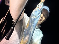 [진해] ﻿[내만갈치]점점 굵어지고 마리수도엄청!!오늘 예약가능 사진