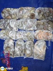 29일(야간문어) 마릿수퍽퍽 덩치들 쭉쭉 일요일야간 예약가능