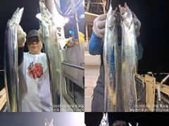 [완도 청산호] 26.08.29 씨알 좋은 갈치 조황 입니다. 찾아주신 조사님들 감사합니다.