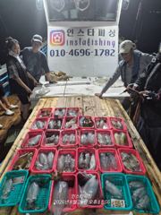 (東)동해조황 - 강구 인스타피싱 ~ 무늬팁런 평일,주말 모두 예약가능합니다