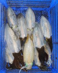 바람ㆍ너울통에도 계속되는 세 자릿수 무늬