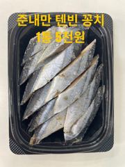진해꾼낚시 갈치텐빈전용선 오늘 예약가능합니다