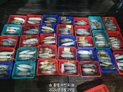 1
					
				
																[통영] 무늬 팁런조황~ 오늘 17시출항									1 사진