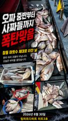 [거제] 선상흘림/하늘은 소나기 바다는 참돔소나기,막 ~쏟아졌어요!! 사진