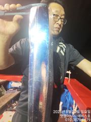 은빛 돼지 갈치 텐빈 월요일 4분가능  화부터 자리여유