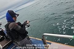 30/일, 오후타임ㅡ실시간, 덩치급 대삼치 호조황!