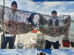 [진해] 문어,1500,1200외개인25수,15수14수,왕창,,(예약가능…