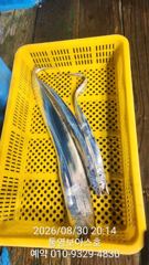 5지 4지 3.5지 여기 보아스호로
