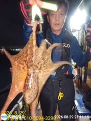 [포항] 8-30(실시간)돌문어 마리수 좋아 졌네요.월.화 예약중