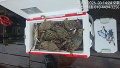 8월30일 오션스타호 꽃게조황