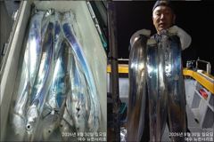 [뉴-한사리호]30일철수 갈치조황입니다