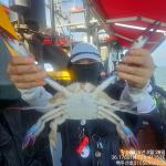 8월30일 홍원항 백두산호 꽃게 조황입니다..