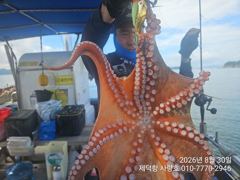 "여밭돌문어"1000g외 개인16수16수14수12수외 마릿수조황 폭발적 좋아요^^ (예약가능)