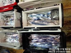 1
					
				
																[진해] 갈치(텐빈 텐애) 굵은놈들 끝내 주네요~힘이 장사~해신호(오늘 …									1 사진