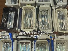 [진해] 내만갈치 씨알 마릿수 좋아요~~~예약가능 사진