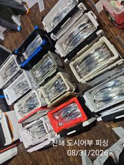 31일새벽 우~와 씨알큰 내만갈치 전원 텐빈 루어 타작~!! 오늘 예약가능
