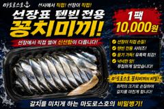 내일 텐야텐빈 출항합니다 사진