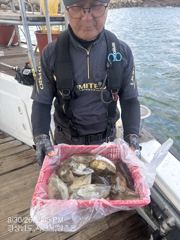 [사천] 내일 갑오징어 5분예약중 출조확정 15자리여유 있습니다 황제낚시…