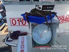 "여밭돌문어" 1000g1000g1000g900g외  키로들과 개인13수11수11수10수외 (예약가능)