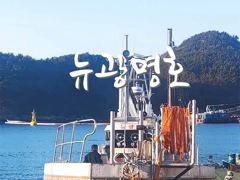 [VIP 광명호] 기상 좋은 오늘, 내일 먼바다 큰넘들 잡으려 갑니다. -- 오늘(화), 내일(수) - 자리 여유 -- 사진