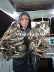 8/30일,야간꽃게 연일 빅히트~ "오늘도 야간출조"~날마다 좋… 사진
