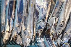 [통영] 통영 수 은 호<<>>먼바다 갈치 조황입니다 오늘 2자리여유~자… 사진
