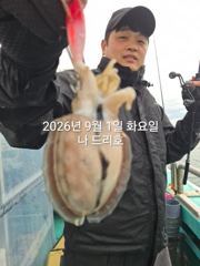 9/1일, 첫 시작~쭈꾸미 밭에 갑돌이도 보이네요~나오고 있어요~실시간~군산 나드리호~ 사진