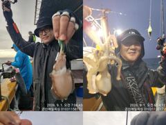 ⭐9/1일 쭈꾸미 시즌 개막 금어기 해제날 입니다⭐