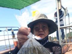 [사천] 쭈꾸미 우당탕탕 조황입니다 내일도 예약중입니다