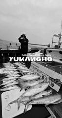 (南)남해조황 - [부산 유강피싱] 유강호 부산권 대부시리 파핑 & 지깅 조황입니다.
