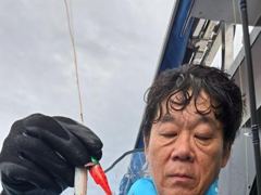 조황정보 - 9/1 쭈꾸미 조황 - 무창포선상낚시