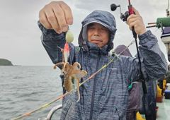 조황정보 - 9/1 돌핀호 주꾸미 첫 조황 - 홍원항 바다낚시