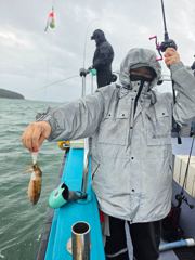 9월 1일 신진도 어해루2호 쭈꾸미조황