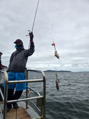 9월 1일 영종도 라이즈호 주꾸미 조황