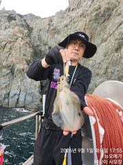 무늬 실시간 씨알굿!