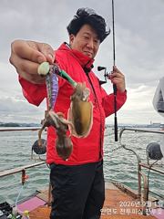 9월1일 안면도 전투호 쭈ㆍ갑 조황입니다.