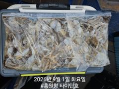 [홍원항타이탄호] 9월1일 (화) 쭈꾸미 금어기 해제 첫날 신고식!!! 사진