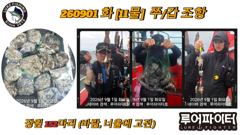 9/1 화 [11물] 쭈꾸미/갑오징어 조항 입니다. 사진