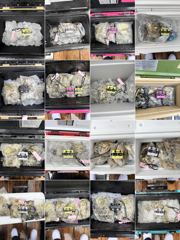 9월1일 쭈꾸미 입학식(장원 283쭈,23갑) 사진
