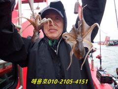 26년9월1일 조황 사진