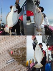 오늘의조황 - 4월 27일 대광어(12인출조)887777 - 영흥도 만수피싱 [구-만수배낚시-만수1호] 사진
