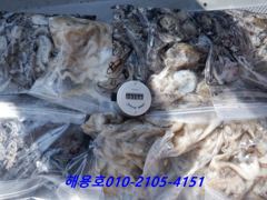 26년9월2일조황 사진