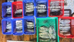 간절곶피싱 팀런 무늬 ~힛또힛또 ~
