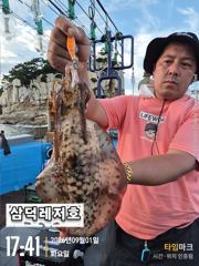 [팁런] ''핫' 무늬,일인,두자리,마리수,(오늘16시,소수인원.출항확정) 사진